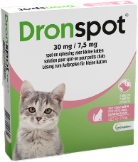 Dronspot Kat