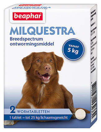 [BP13933] Beaphar Milquestra Hond (2 tabletten)