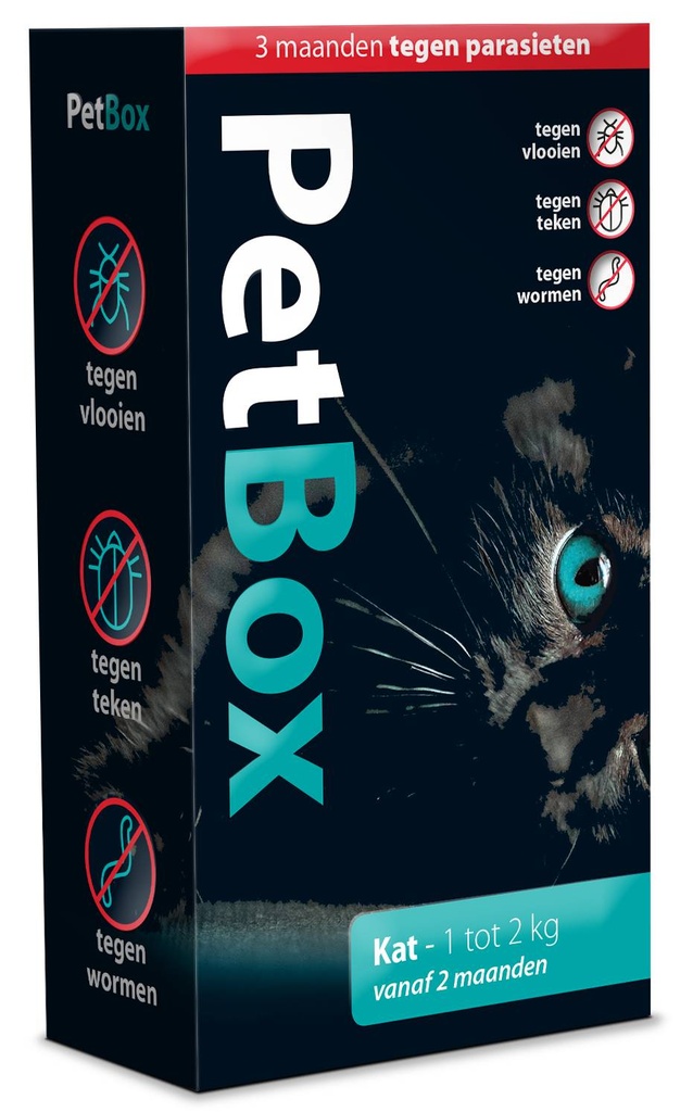 Petbox Kat