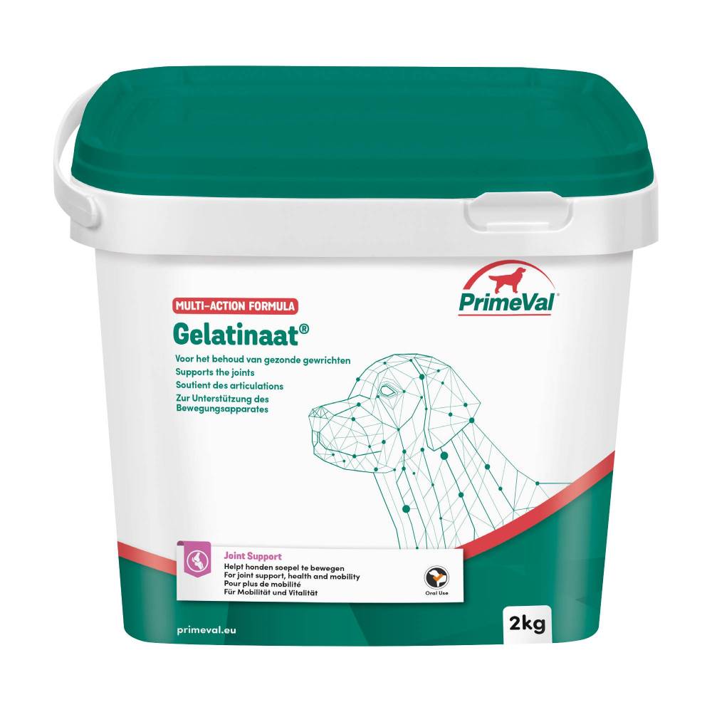 Primeval Hond Gelatinaat 2 kg.