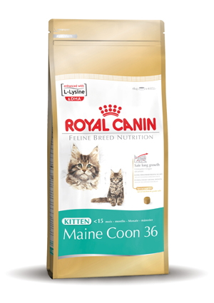 Royal Canin Main Coon Kitten 400 gr.