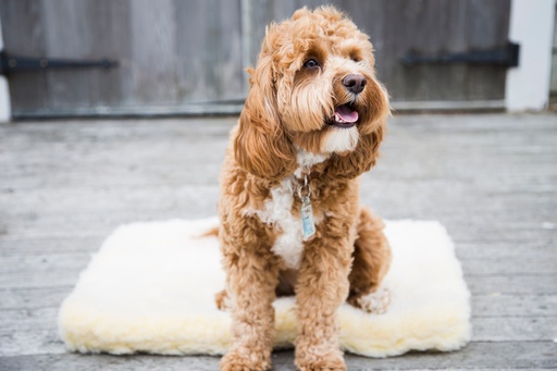 [ET04992] HuggleFleece Mat Small (1 st.)