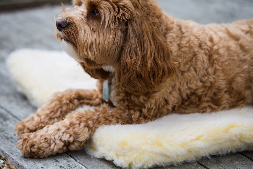 HuggleFleece Mat Large