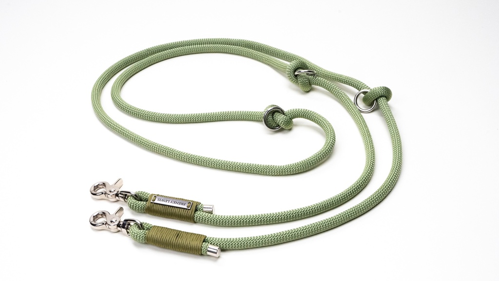 Frenky Lewis Hands Free Leash Young Jagger 1 st.