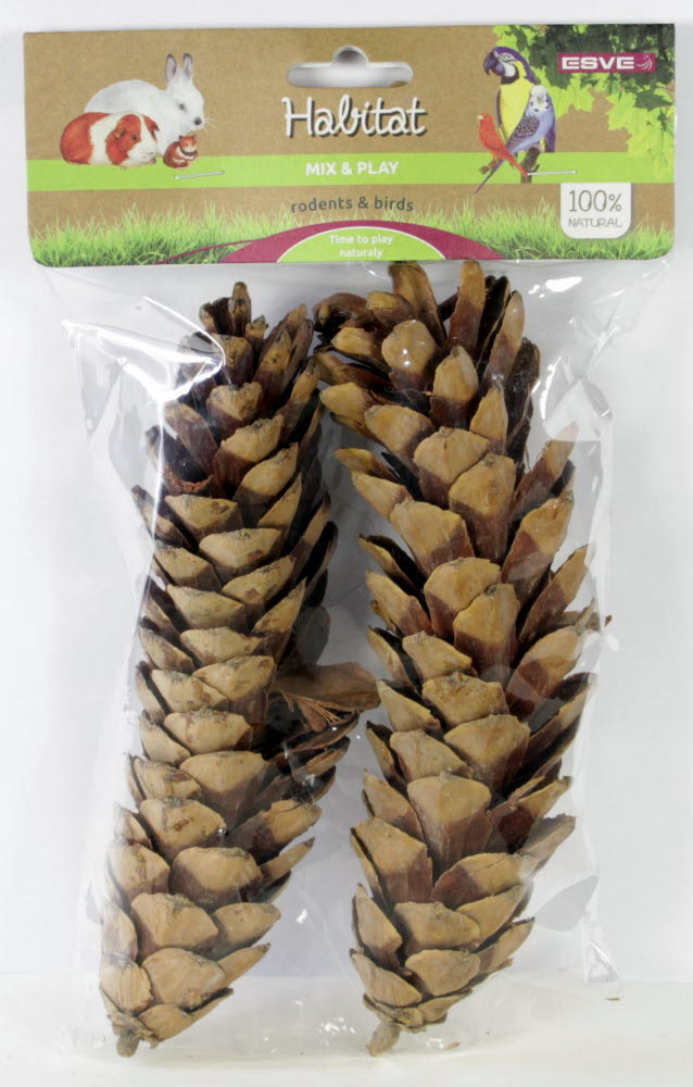 Mix & Play Pine Cones Large 2 st.