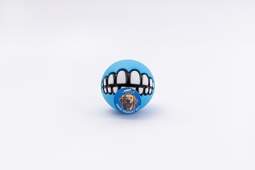 [RGRSS02F] Rogz Toyz Grinz Squeaky Bal Box M Turq 15 x 1 st.