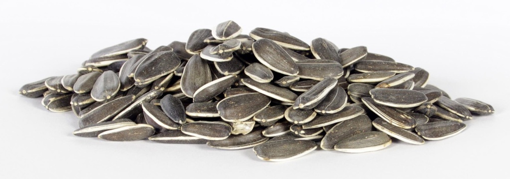Tijssen Zonnepitten gestreept 7.5 kg grof