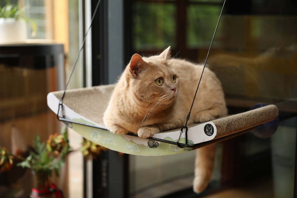 JoyCat Schommel