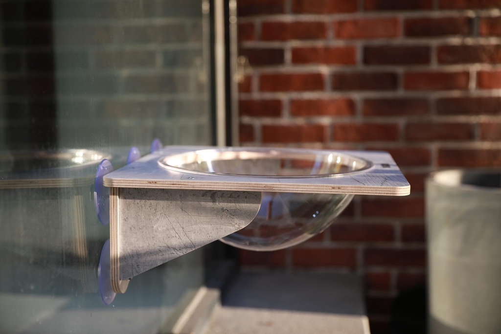 JoyCat Bowl 
