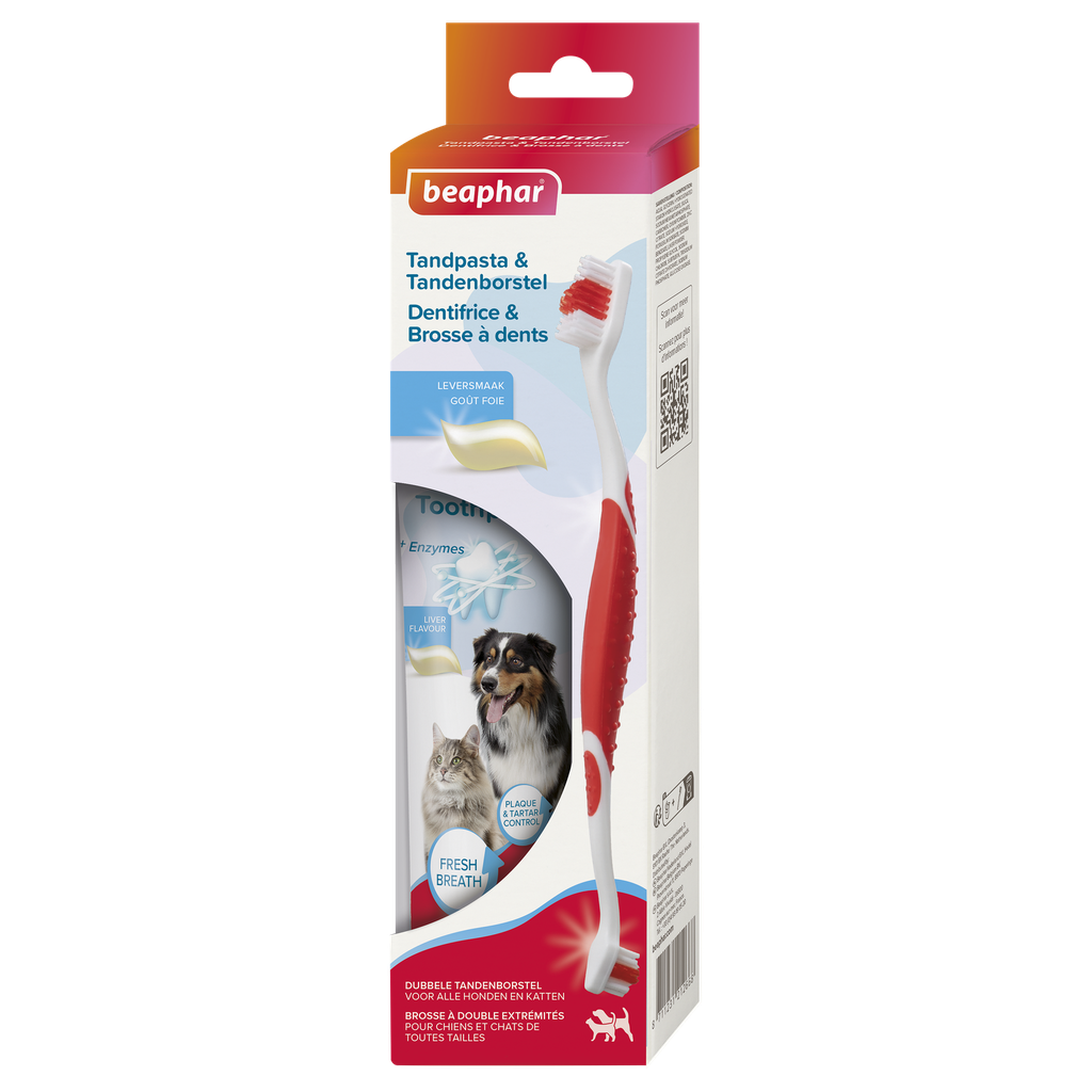 Tandpasta & Tandenborstel