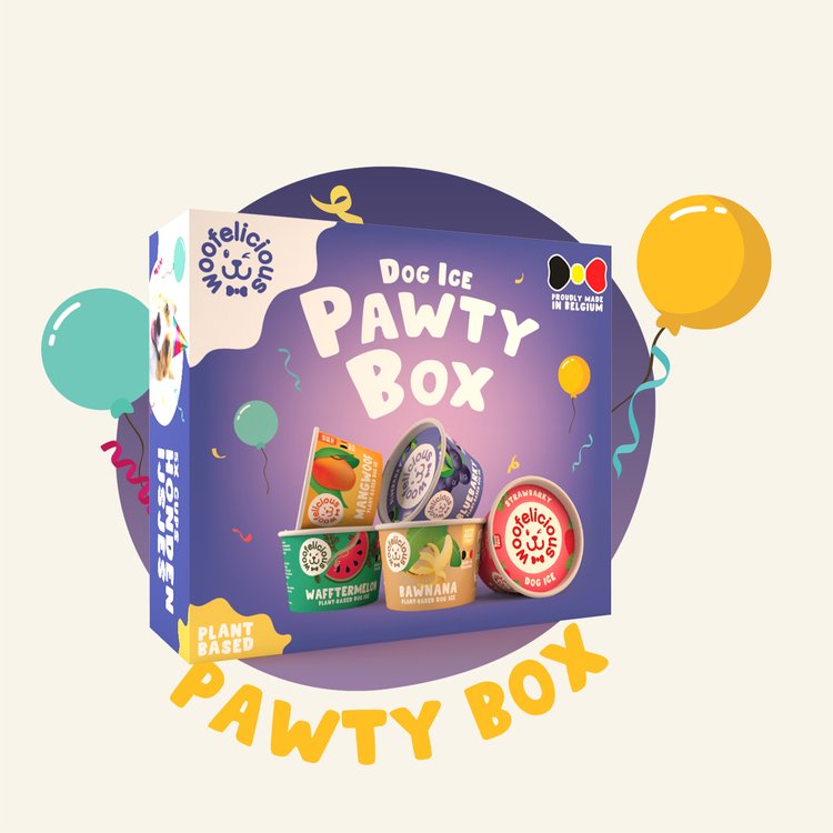 Woofelicious Hondenijs Party Box 5x5x100 ml.