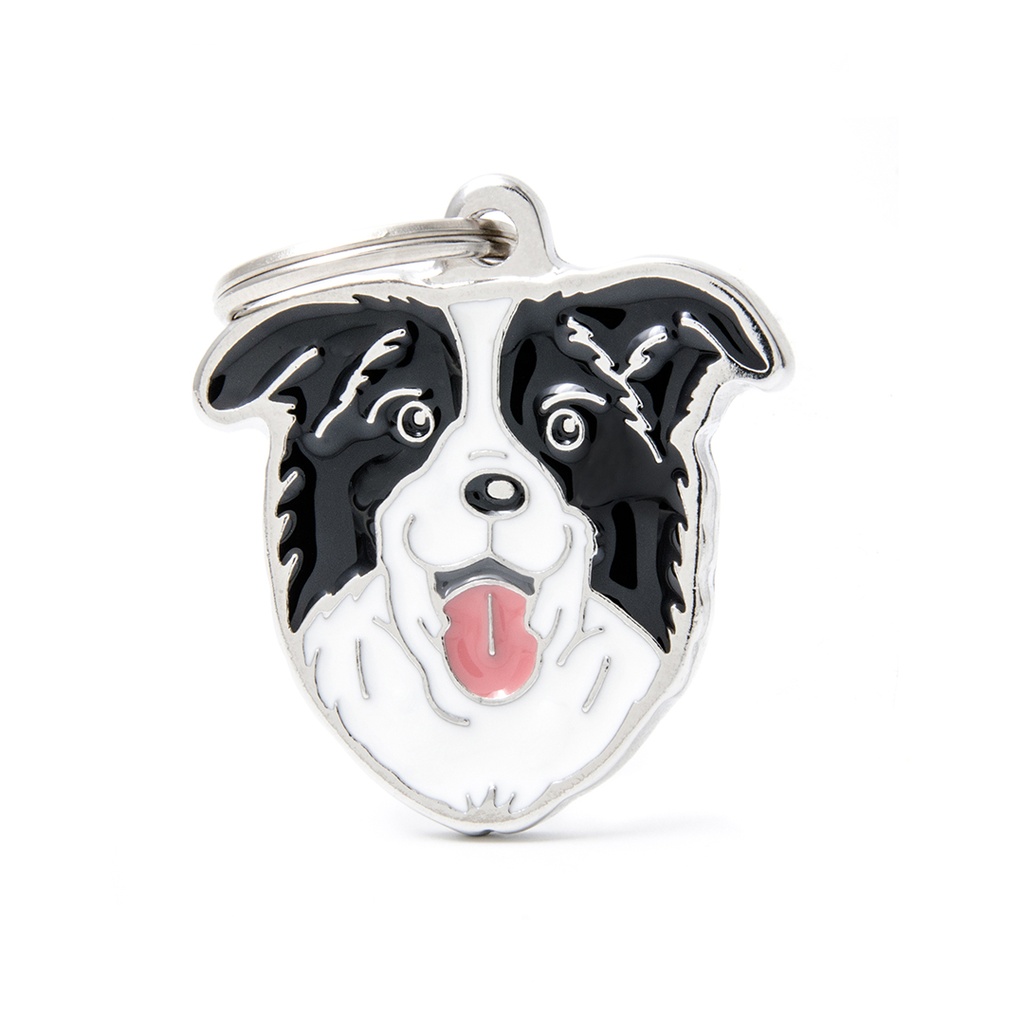 MyFamily Border Collie
