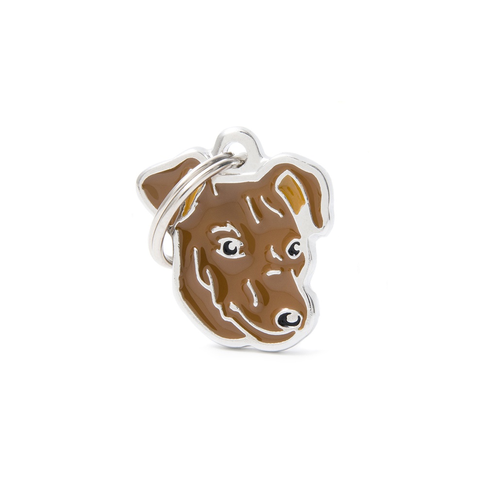 MyFamily Red Pinscher 