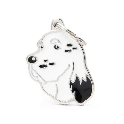 [MF27084] MyFamily English Setter