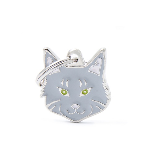 [MF25063] MyFamily Silver Tabby Maine Coon