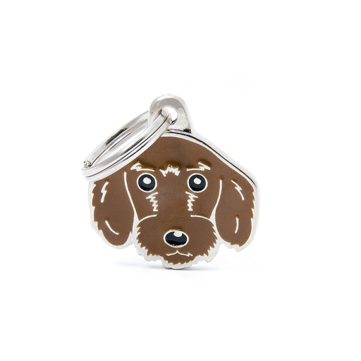 [MF25462] MyFamily Fawn Wire-Haired Dachshund 