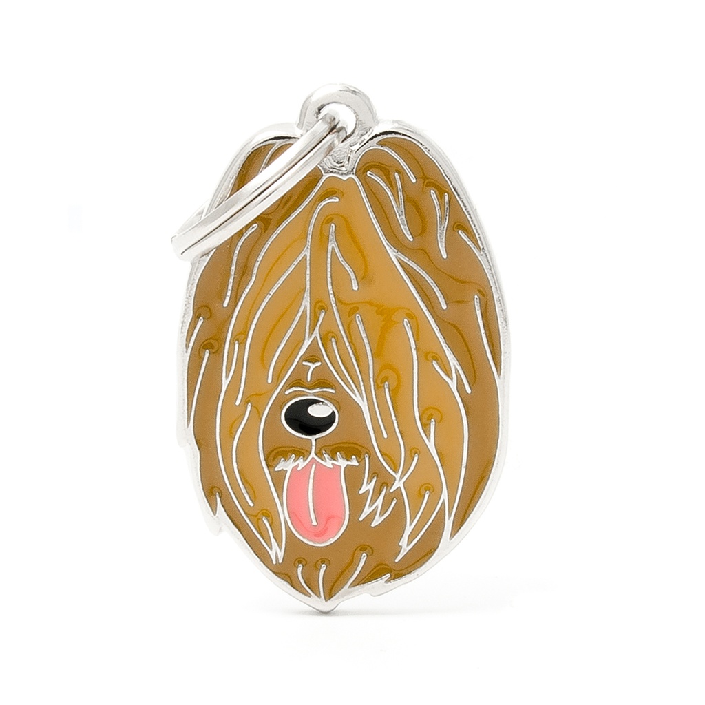 MyFamily Briard