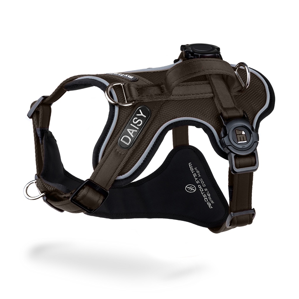 MyFamily H Harness Memopet ID Brown M