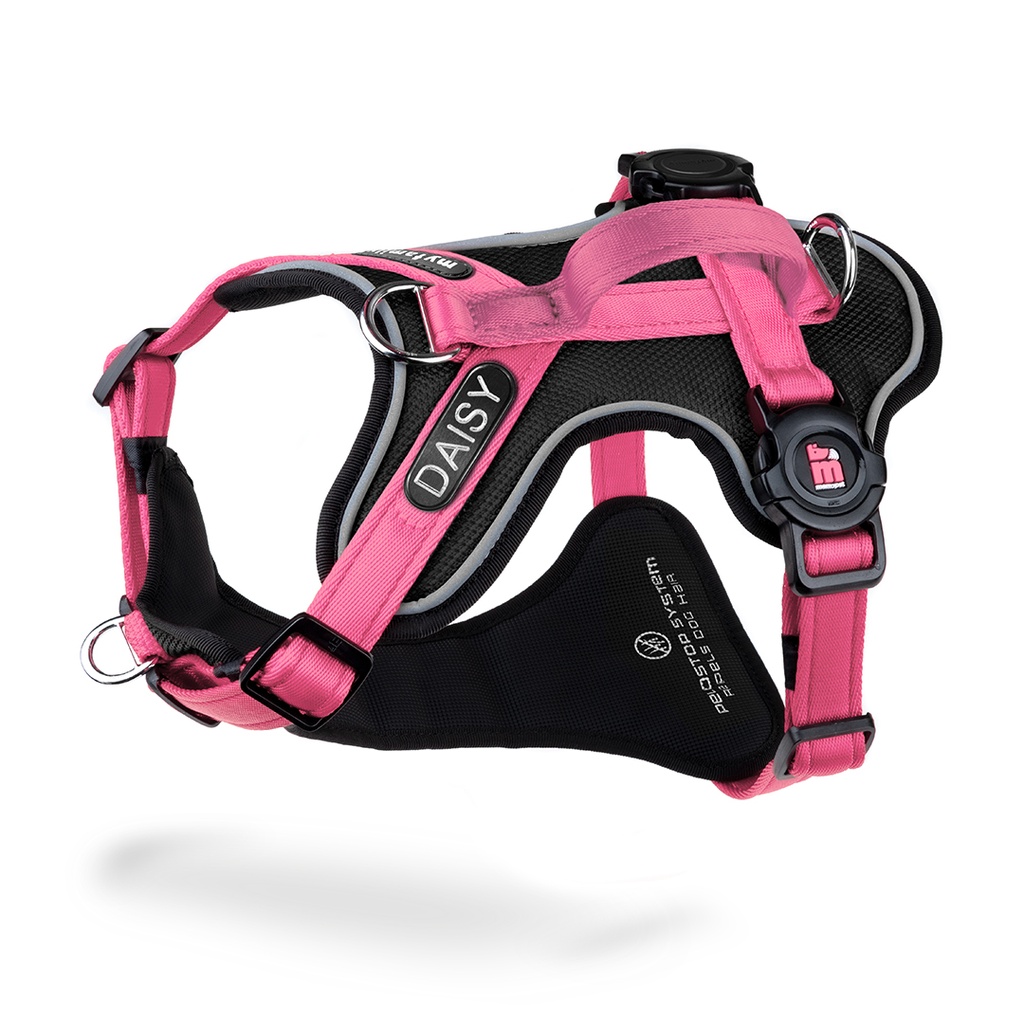 MyFamily H Harness Memopet ID Pink S