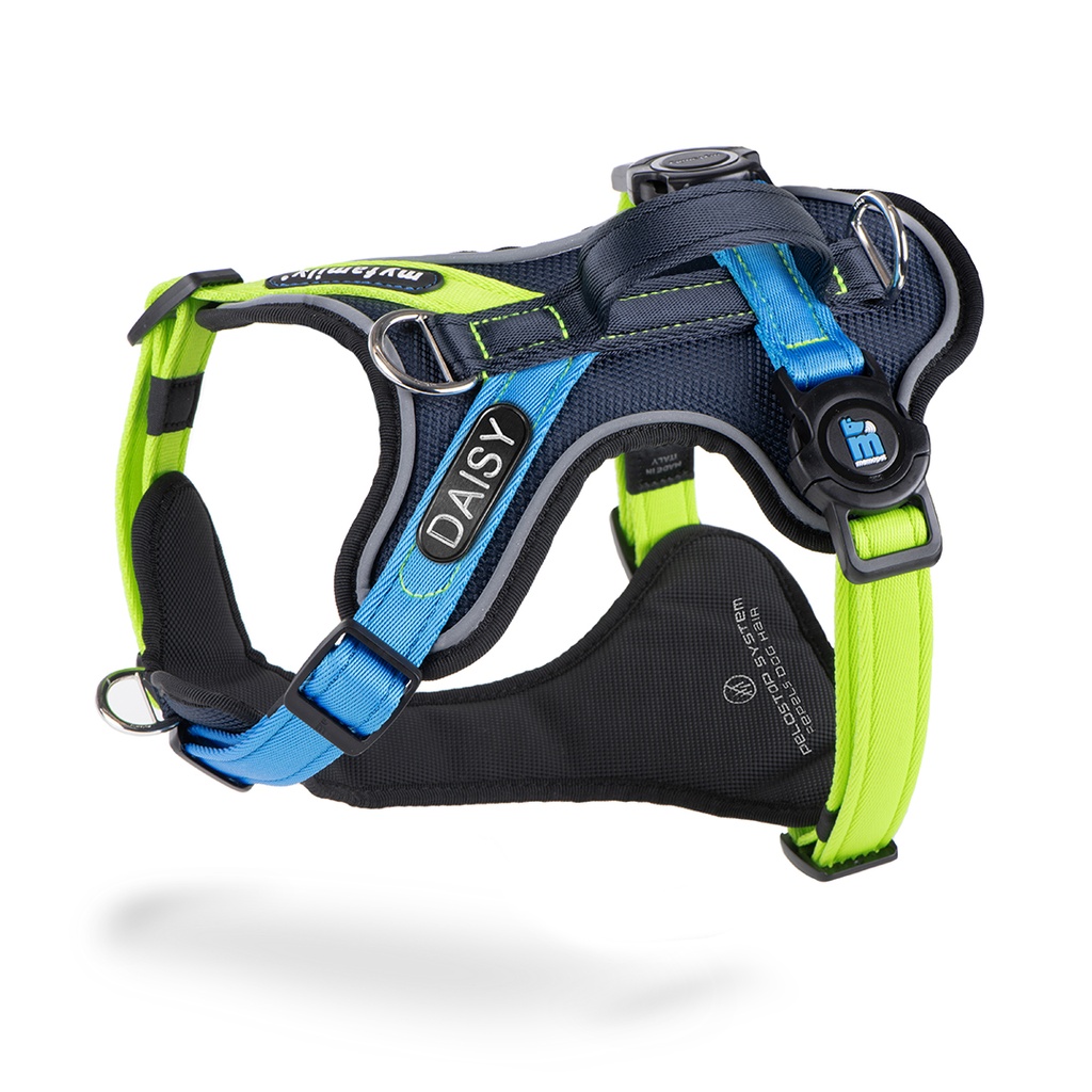 MyFamily H Harness Memopet ID Black, Green & Blue S