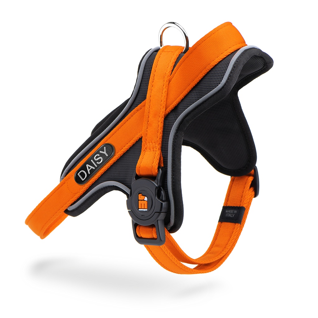 MyFamily Y Harness Memopet ID Orange ML