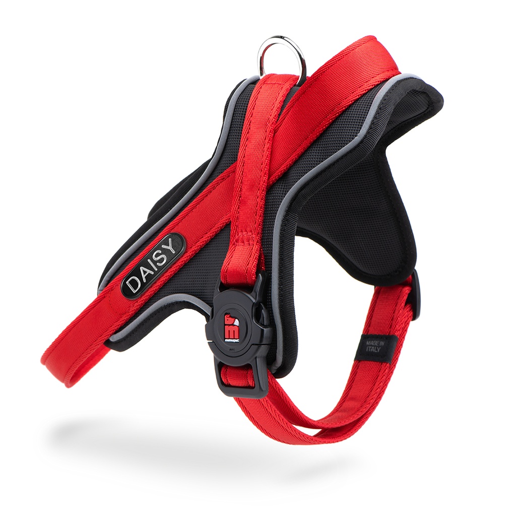 MyFamily Y Harness Memopet ID Red SM
