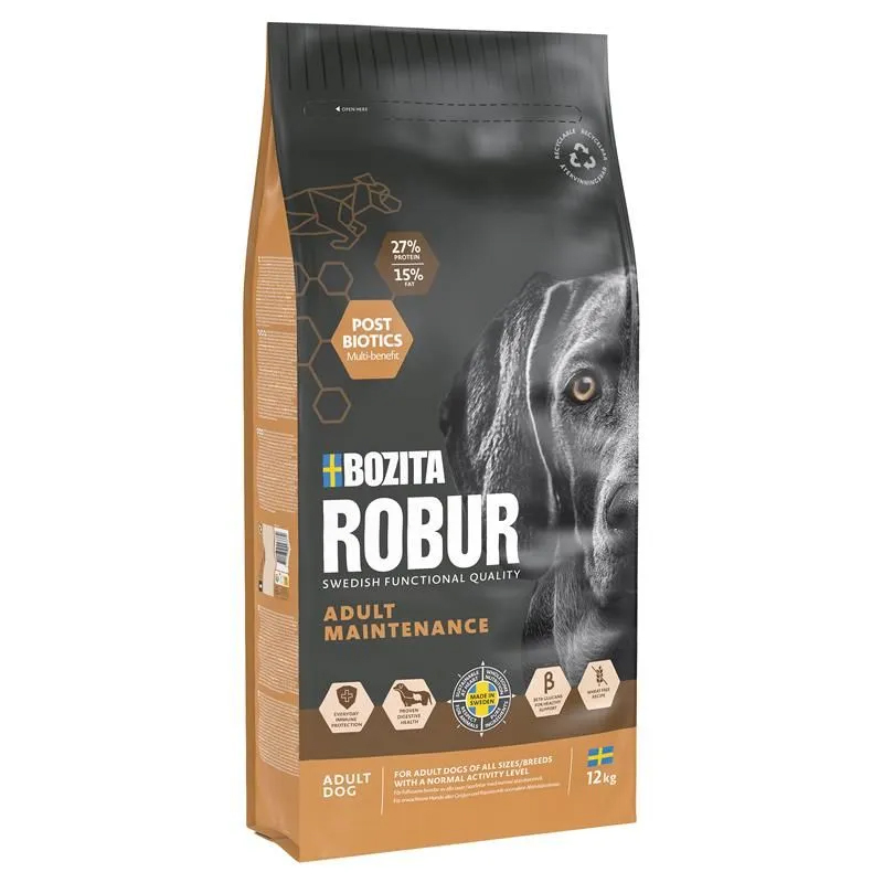Robur Adult Maintenance