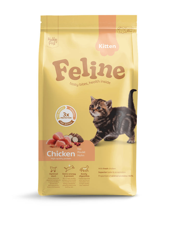 HobbyFirst Feline Kitten