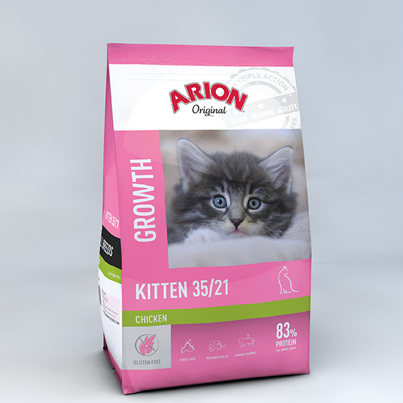 Arion Cat Original Kitten