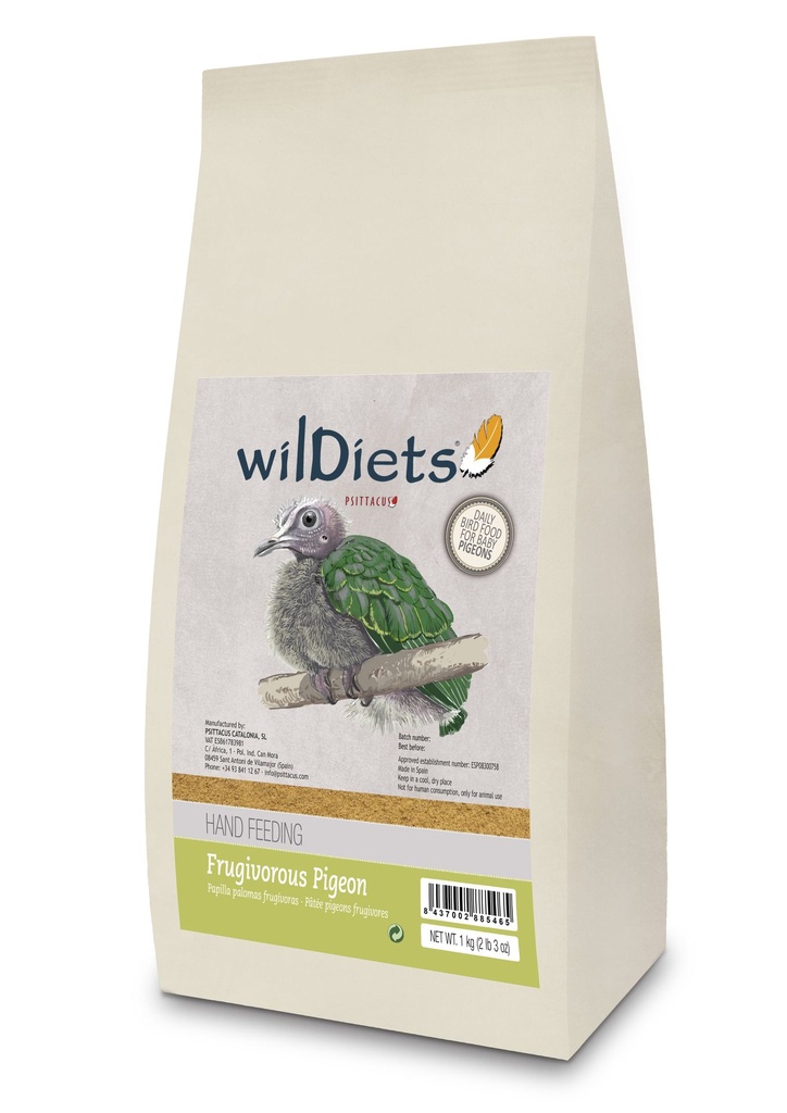Columbae Frugivorous Pigeon Hand Feeding