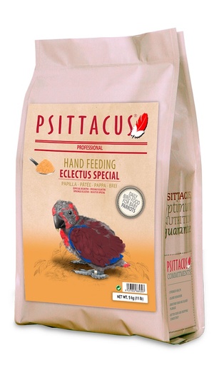 [PTT88539] Psittacus Eclectus Special (5 kg.)