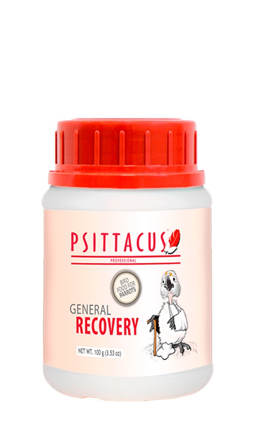 Psittacus General Recovery