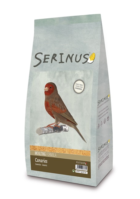 Serinus Canaries Moulting