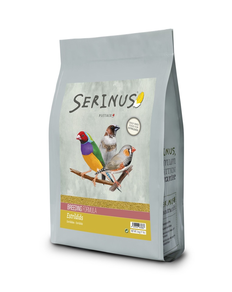 Serinus Estrildids Breeding