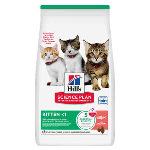 Hills Feline Kitten Salmon
