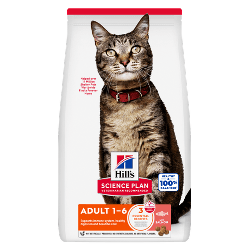 Hills Feline Adult Salmon