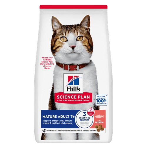 Hills Feline Mature Salmon
