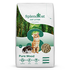 Splendicat Pure Wood