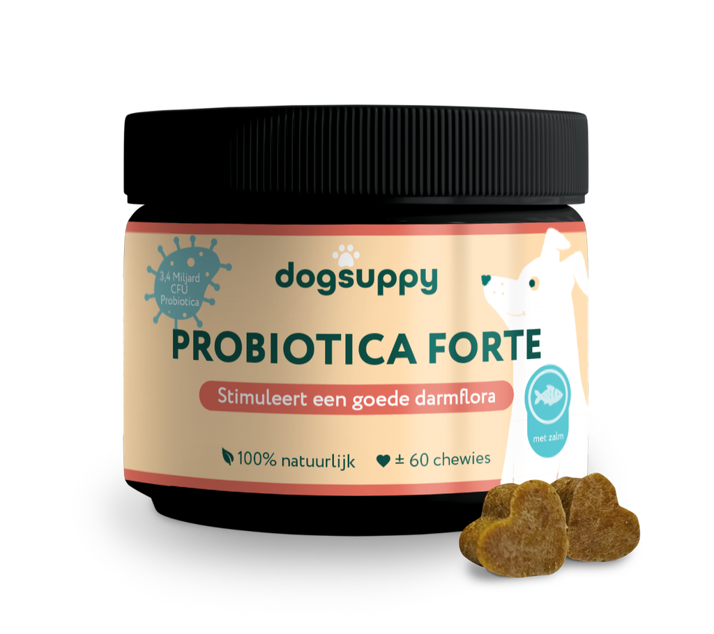 DogSuppy Probiotica Forte Zalm