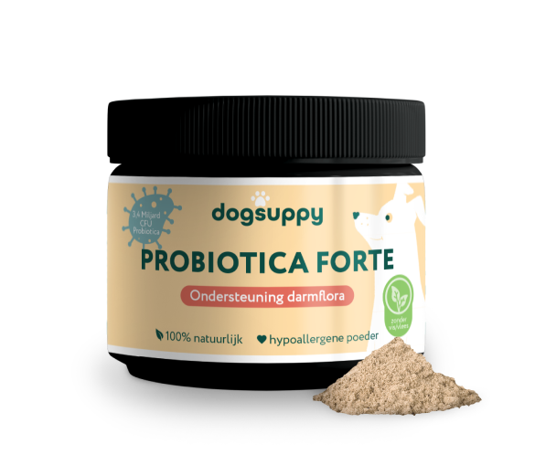 DogSuppy Probiotica Forte Poeder