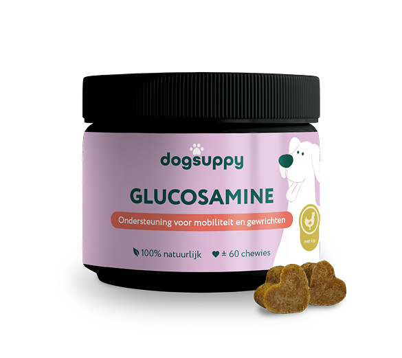 DogSuppy Glucosamine
