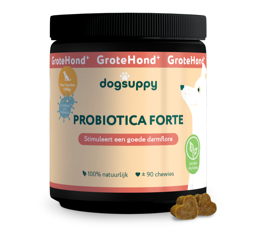 DogSuppy Probiotica Grote Hond Insect