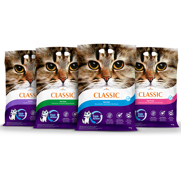 Set Startset Intersand Extreme Classic