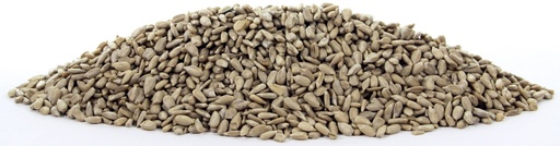 Tijssen Zonnepitten Gepeld