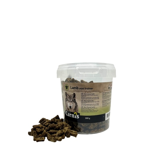 [CS54044] Carnis Trainer Lam Mini