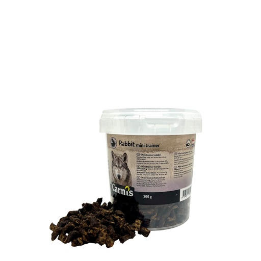 [CS54700] Carnis Trainer Konijn Mini