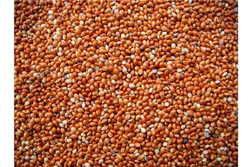[VV0085] Tijssen Panicum Rood 25 kg.