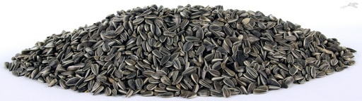 [VV0252Z] Zonnepitten Gestreept 10 kg.