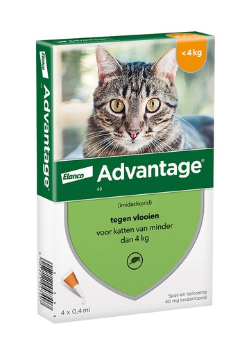 Advantage Kat