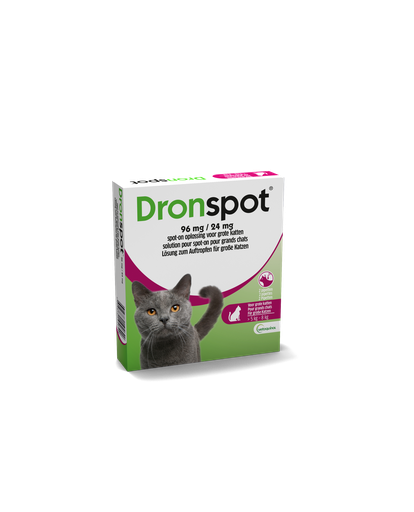 Dronspot Kat